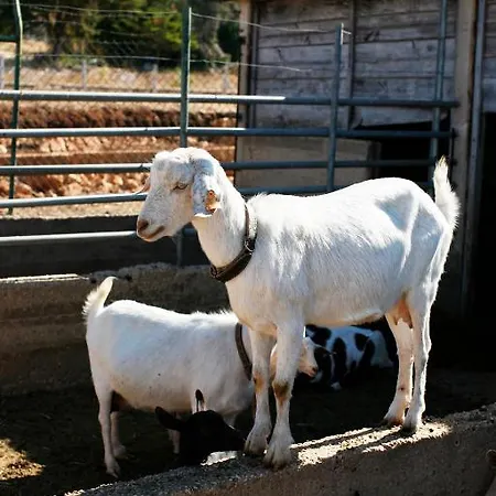 Rural Quinta Das Barradas