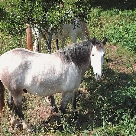Rural Quinta Das Barradas