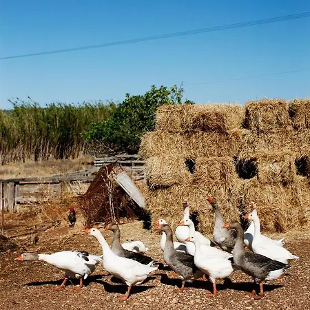 Rural Quinta Das Barradas Odiáxere